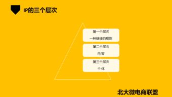 北大微電商聯(lián)盟 移動互聯(lián)網(wǎng)時代的企業(yè)IP與品牌營銷新路徑